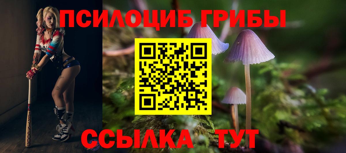 Псилоцибиновые грибы мухоморы Буйнакск