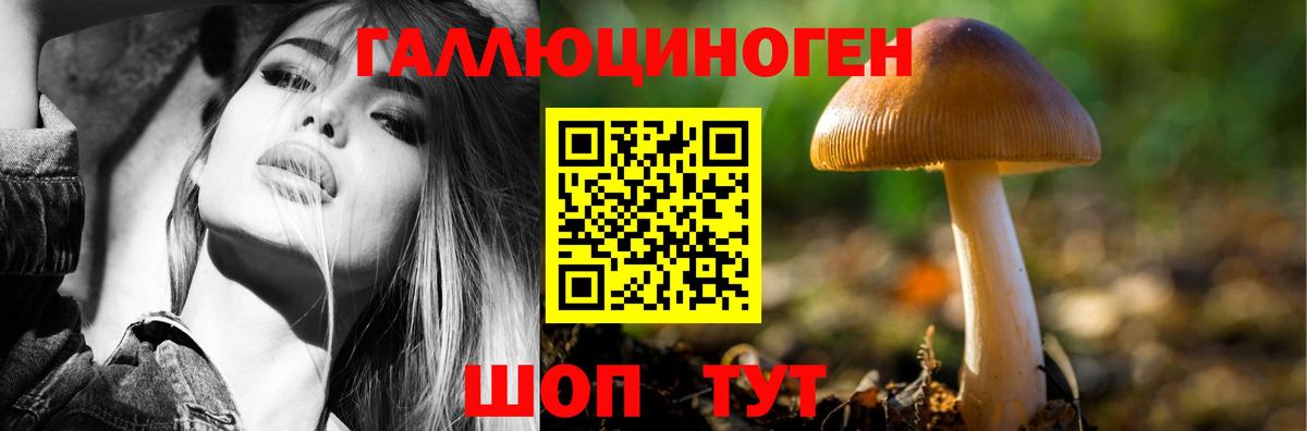 Псилоцибиновые грибы ЛСД  Галлюциногенные грибы Magic Shrooms  Буйнакск  Вход с VPN 